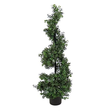 National Tree Company Ft Boxwood Spiral Topiary In Nursery Pot Wayfair