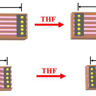 Schematic diagram illustrates the procedure of the plasticizer ...