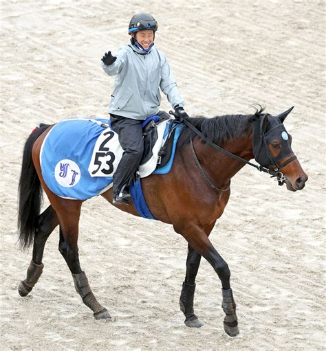 日曜中山競馬場の注目激走馬中山11rマーチステークス・g3 Umatoku 馬トク