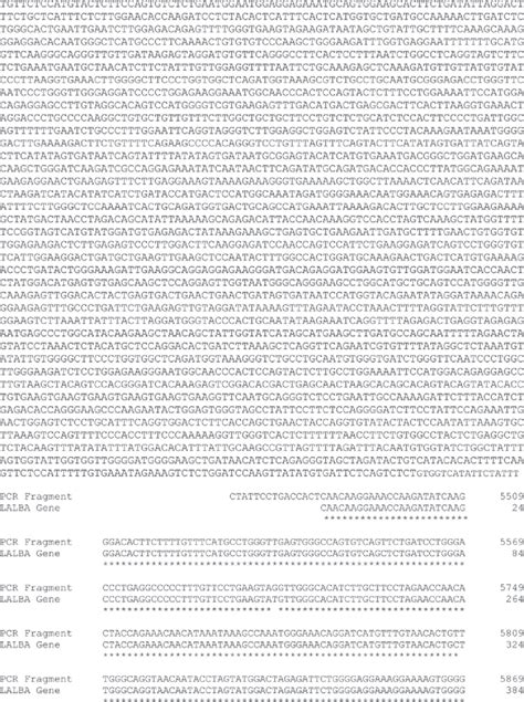 Continued Dna Sequence Analysis Of The Amplified Nested Pcr Segment