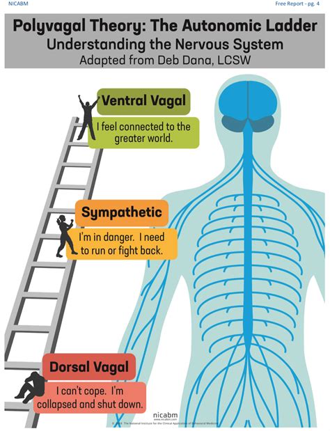 SCIplanet The Polyvagal Theory