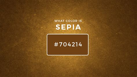 What Color Is Sepia About Sepia Color