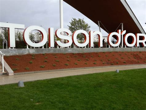 La Toison d'Or - Dijon - C'Déco Paysagiste