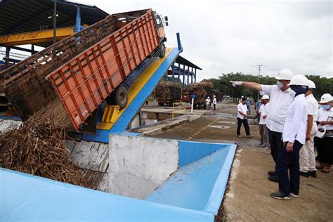 Musim Giling Pabrik Gula Glenmore Banyuwangi Bakal Raih Cuan Rp700 Miliar