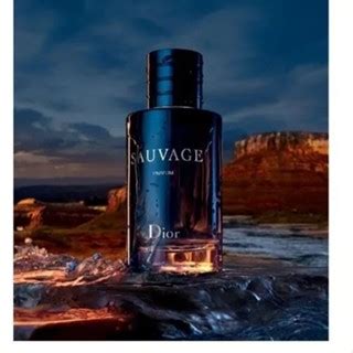 Conjunto Perfumes Silver Scent Sauvage Malbec Black Envio