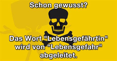 Das Sollte Uns Nachdenklich Stimmen Fun Bild Webfail Fail Bilder