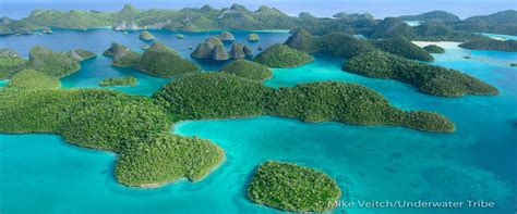 Bird S Head Seascape Raja Ampat It S More Than Just Reefs Bird S