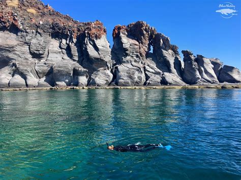 The Islands of the Loreto Bay National Park - Baja Dive Guide