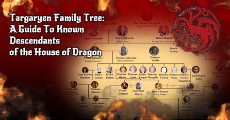 targaryen stammbaum erklaert house   dragon