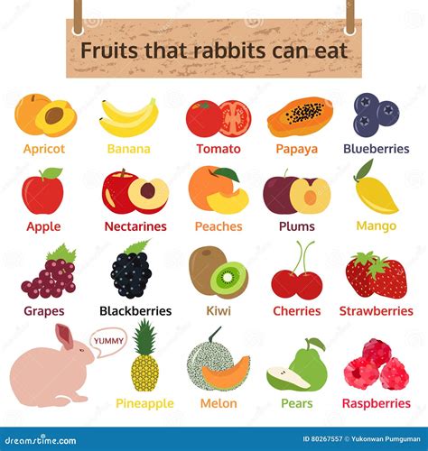 Quais Frutas O Coelho Pode Comer