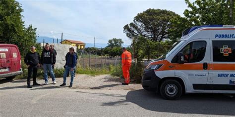 Bimbo Di Mesi Azzannato E Ucciso Da Due Pitbull A Campolongo Di