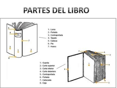 Imagen Del Libro Y Sus Partes Imagui