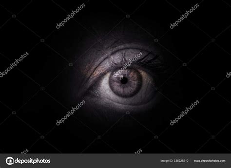 Human Eye Black Eyes Stock Photo by ©PantherMediaSeller 335228210