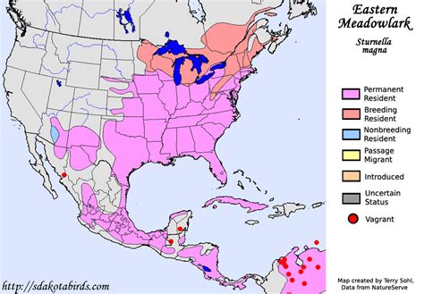 Eastern Meadowlark - Species Range Map