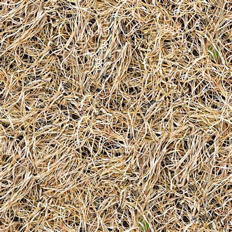 Seamless Dry Grass Texture