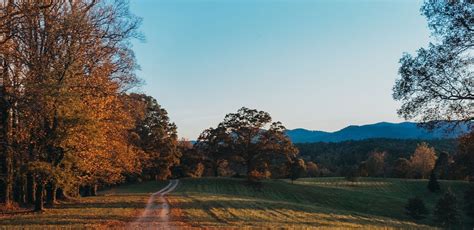 Homes For Sale Candler NC | Noble & Company Realty