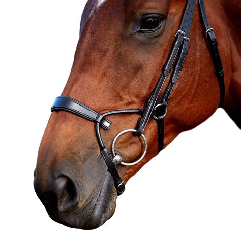 Collegiate Comfitec Training Bridle with Anatomically Shaped Headpiece | eBay