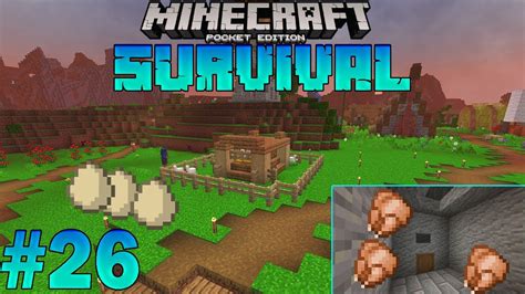 EFSANE TAVUK KÜMESİMinecraft PE Survival Bölüm 26 YouTube