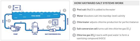 Aquarite® S3 Salt Chlorination Hayward Salt System