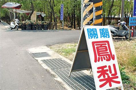 關廟鳳梨商標註冊 任意沿用吃官司 地方 自由時報電子報