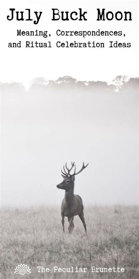 Buck Moon: The Spiritual Meaning of July’s Full Moon