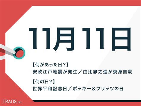 11月11日は何の日？国内外の出来事や記念日・誕生花や星座を紹介 Transbiz