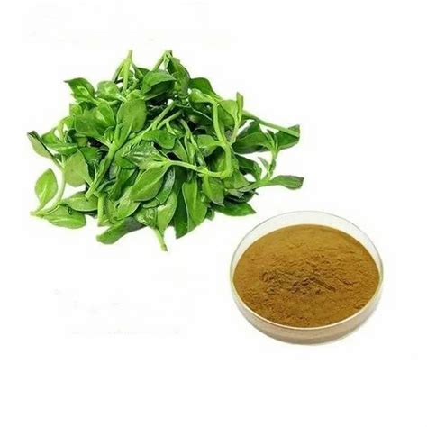 Brown Andrographis Paniculata Kalmegh Powder Packaging Type Loose At