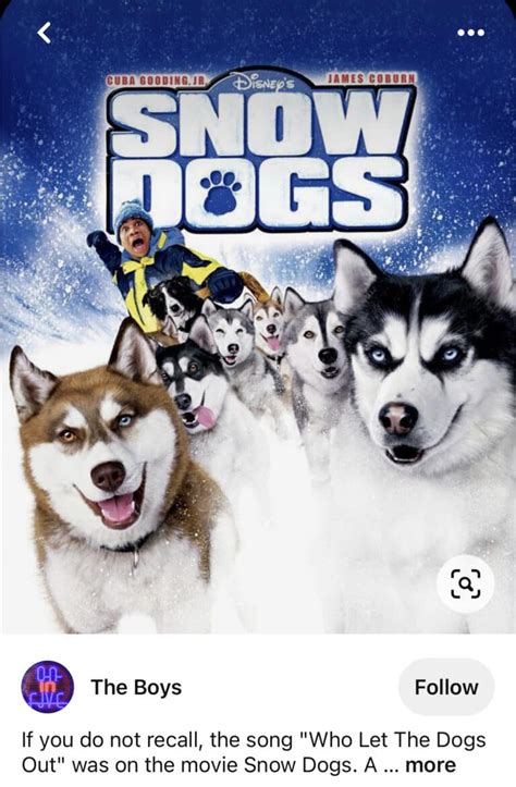 13 Unforgettable Disney's Dog Movies (With Pictures!) | My Paw Diaries