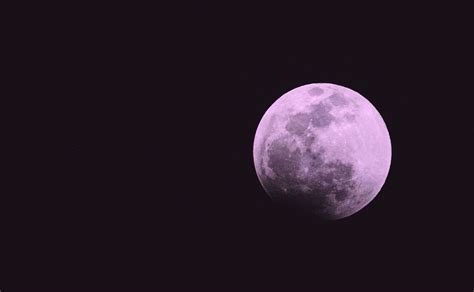 Habr Luna Rosa En Edomex Conoce Cu Ndo Se Podr Ver La Luna Llena De