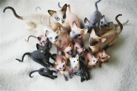 cats bjd :) | BJD || Pets | Pinterest