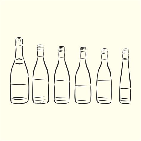 bottle vector sketch 8687289 Vector Art at Vecteezy