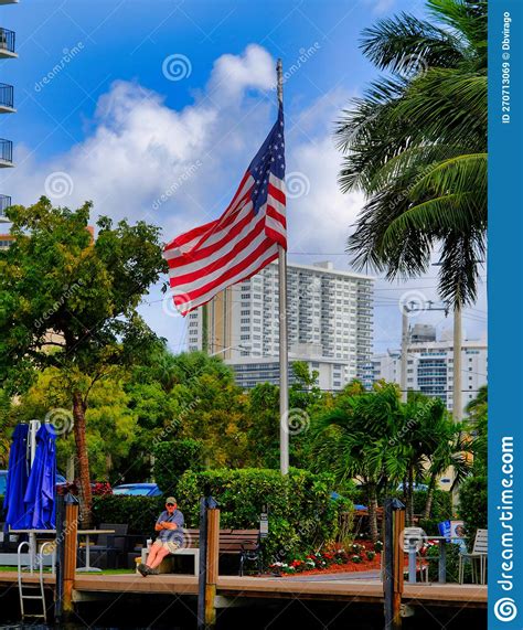 American Flag in Park editorial stock image. Image of flag - 270713069