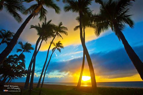 Maui Sunset Hawaii Photo Palm Trees Tropical scenery Ocean photography Kaanapali beach decor ...