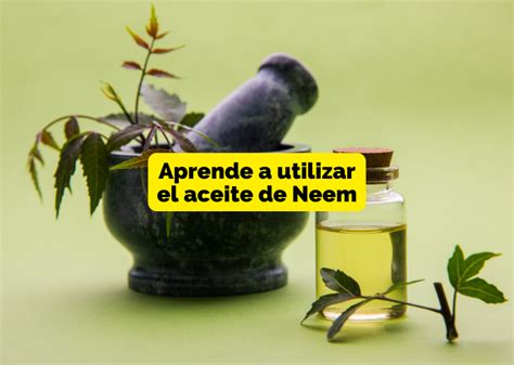 Para Qué Sirve y Cómo Usar el Aceite de Neem