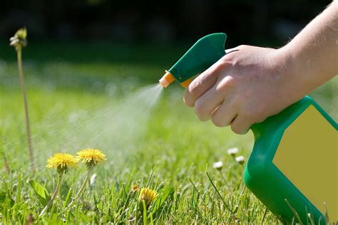 33 Facts About Herbicides - Facts.net