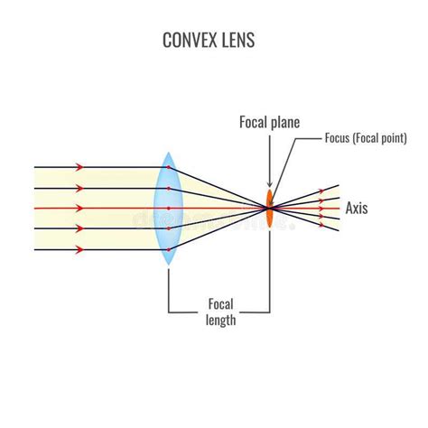 A Visual Guide to Understanding Plano Convex Lens Ray Diagrams