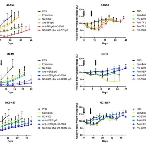 In Vivo Antitumor Effect A C Antitumor Effect And Toxicity Were