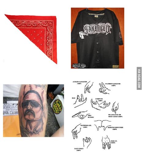 Mexican Cholo Starter Kit 9gag