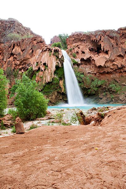 330+ Havasu Creek Photos Stock Photos, Pictures & Royalty-Free Images ...