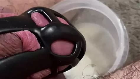 Slave Gay Porn Creator Videos Free Amateur Nudes Xhamster