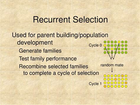 Ppt Developing New Varieties Plant Breeding Powerpoint Presentation