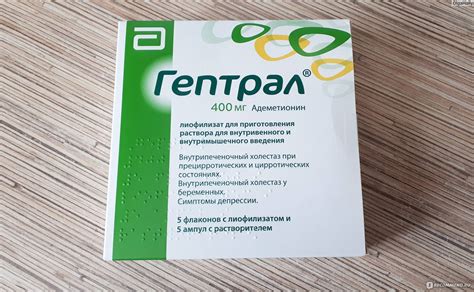 Гептрал для собак: показания и инструкция по применению, отзывы, цена