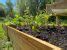 Home Gardening Benefits Of Using Raised Garden Beds Agdaily