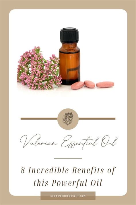 Valerian Essential Oil Essential Oil Benefits Diy Essential Oils