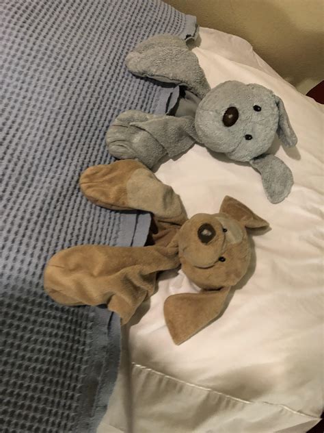 My Room Service Put My Stuffed Animals To Bed Rmildlyinteresting