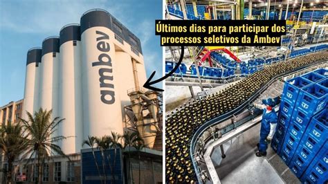 Essa é a sua chance os processos seletivos da Ambev estão chegando ao fim