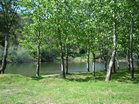 Praia Fluvial De P Rodrigo Carregal Do Sal All About Portugal