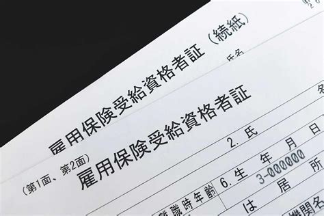 雇用保険被保険者証とは？再発行手続きの方法や退職時にいつもらえるか、いつ使うのかなどを解説 経営者から担当者にまで役立つバックオフィス基礎