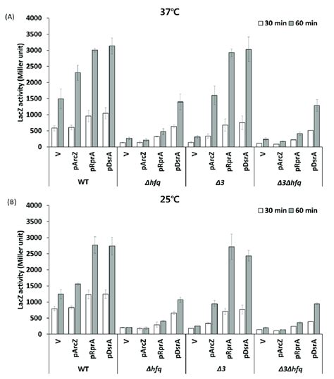 Fig S4 Stimulation Of Rpos Translation By Dsra Overexpression In The