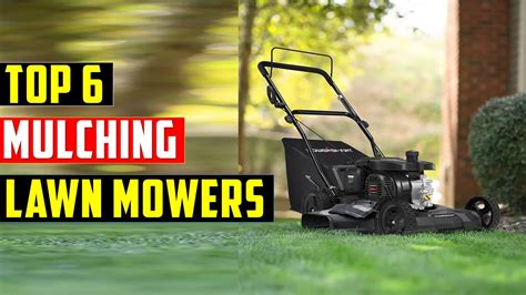 Top Best Mulching Lawn Mowers In The Best Mulching Lawn